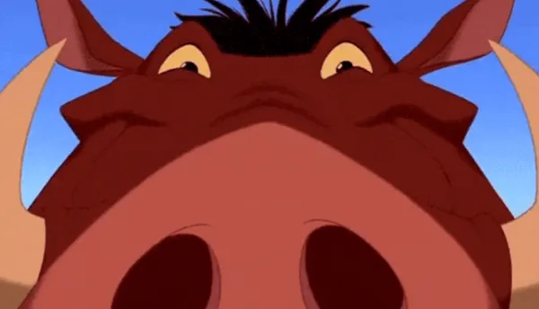 Profile picture of Rithvik Upadhya